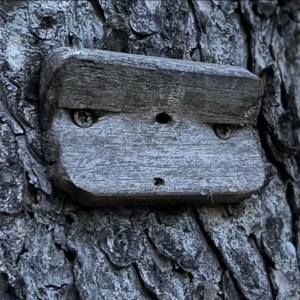 Meet your Posher, Adam